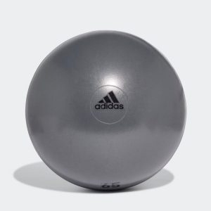 Performance Ankle Support